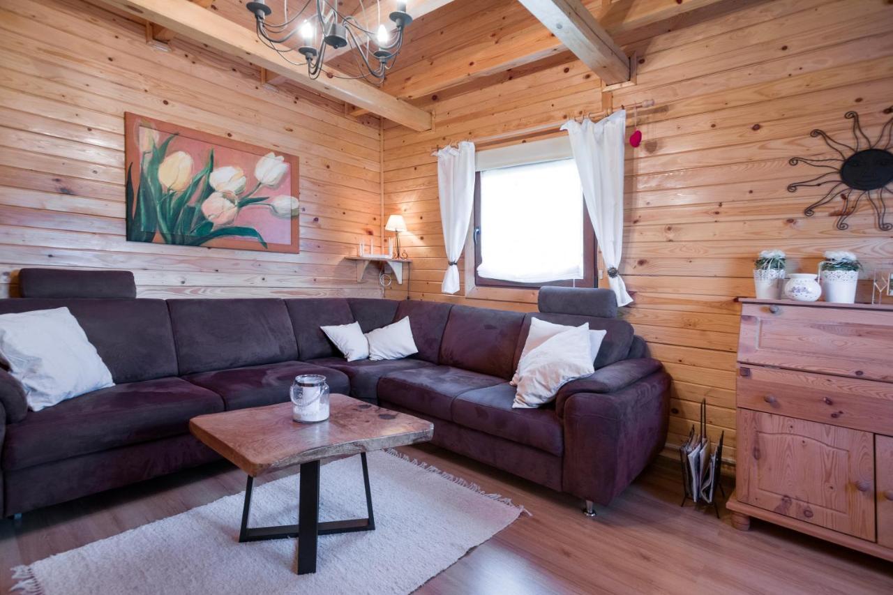Andrzejowka Villa Kocon Bagian luar foto