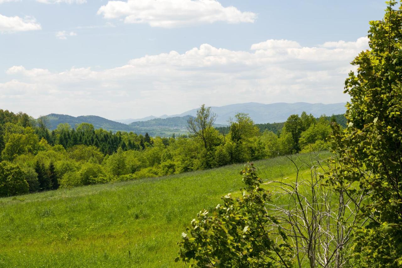 Andrzejowka Villa Kocon Bagian luar foto