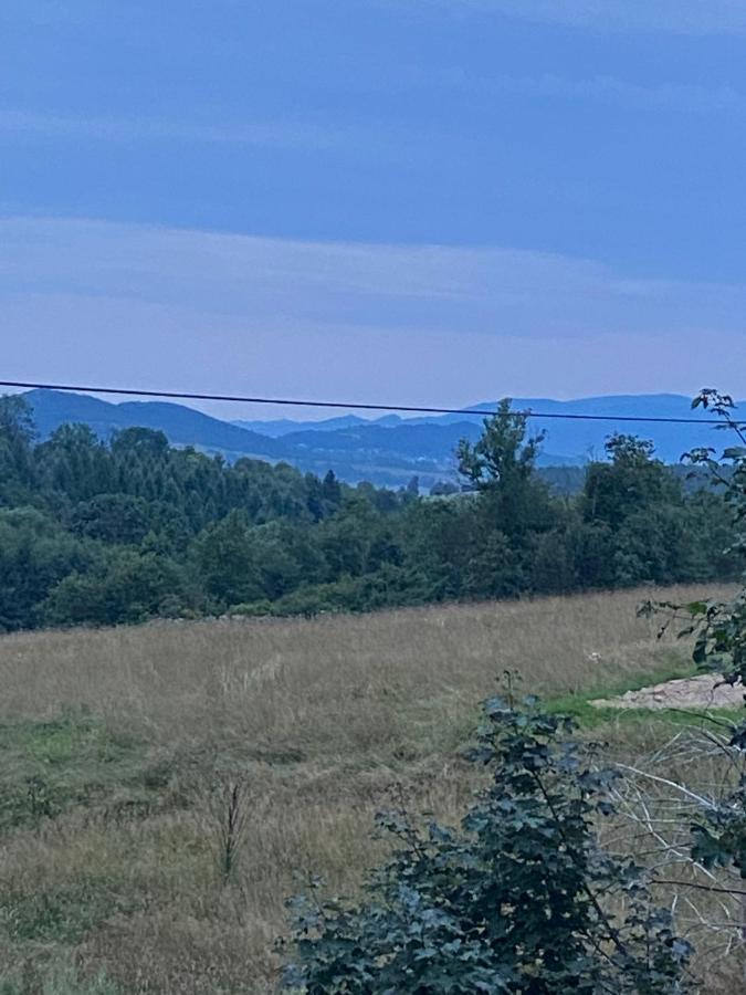 Andrzejowka Villa Kocon Bagian luar foto